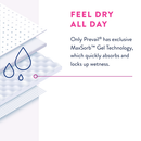 Prevail® Daily Pads Ultimate Female Disposable Bladder Control Pad, 16 Inch Length, One Size Fits Most, Heavy Absorbency