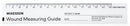 McKesson Nonsterile Paper Wound Measuring Guide, 6 Inch, 600/BG