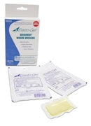 Elasto-Gel™ Wound Dressing, 2 x 3 Inch, 200/CS