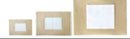 Coverlet® Adhesive Strip, 2¾ x 4 inches, 600/CS