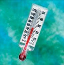 Thermometer For Tee Adapter, 1/EA