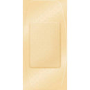 Careband™ Adhesive Strip, 2 x 4 Inch, 50/BX