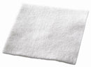 Biatain® Ag Calcium Alginate Dressing with Silver, 6 x 6 Inch, 10/BX